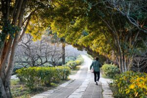 walking 